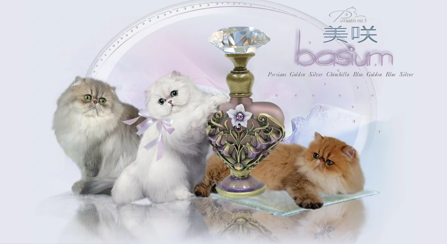 de Basium